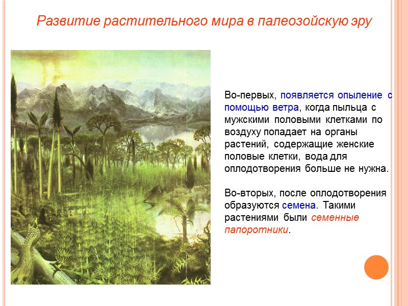 Во-первых, появляется опыление с помощью ветра, когда пыльца с мужскими половыми клетками по воздуху